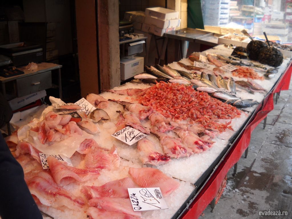Fish Market Venetia | 1